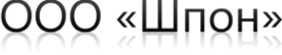 Логотип компании Шпон