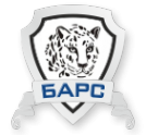 Логотип компании Барс